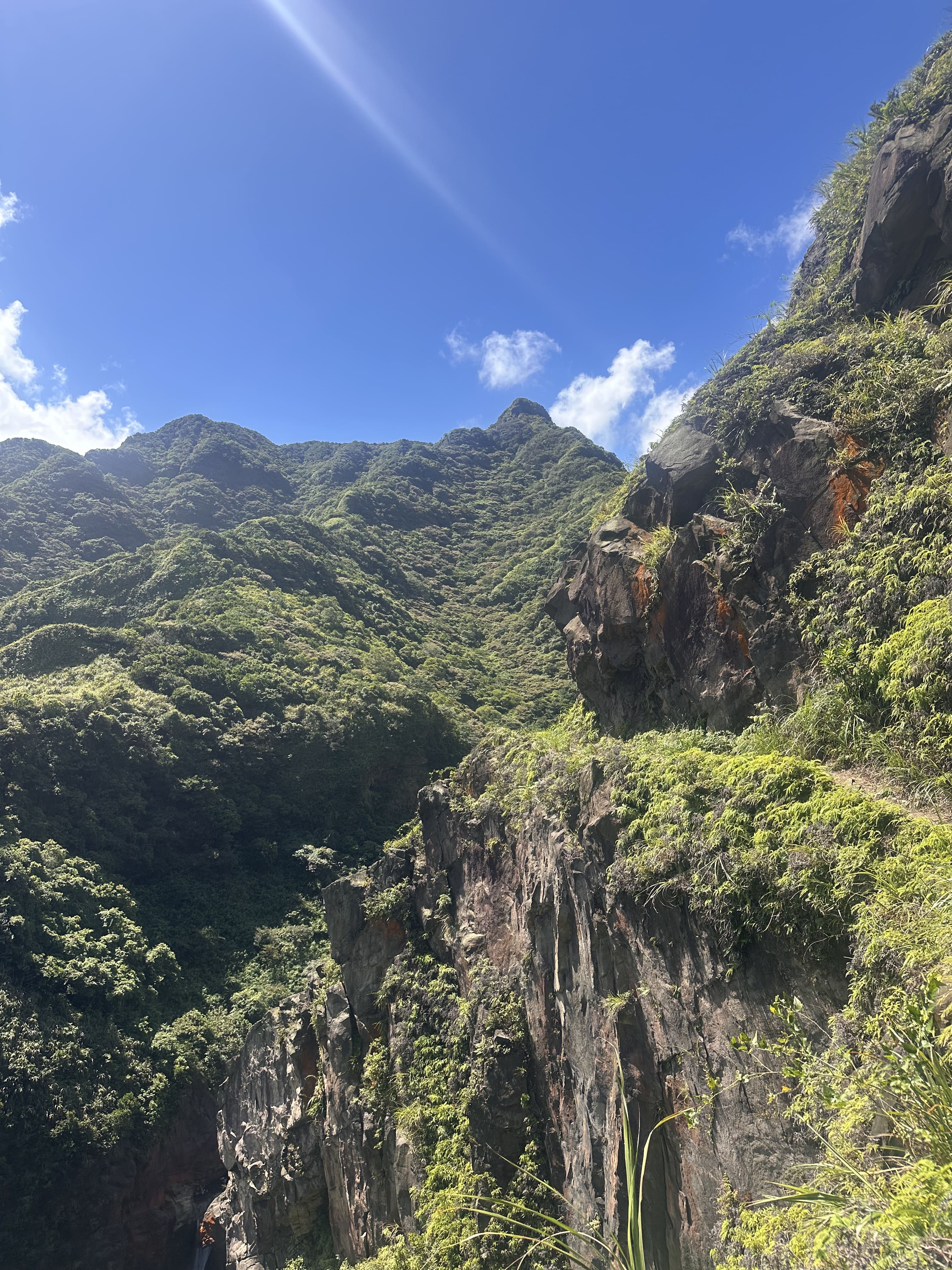 Mountain