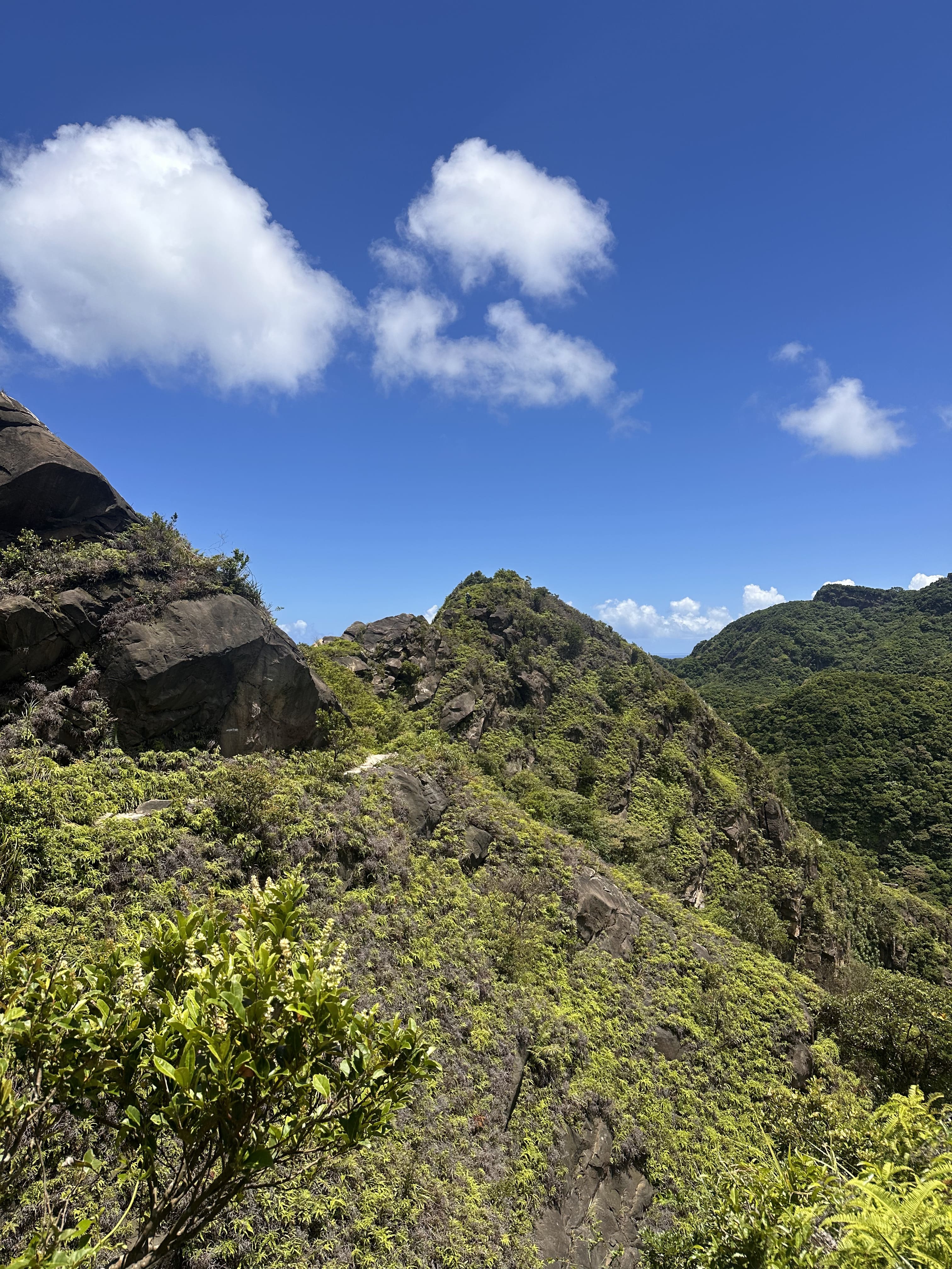 Mountain