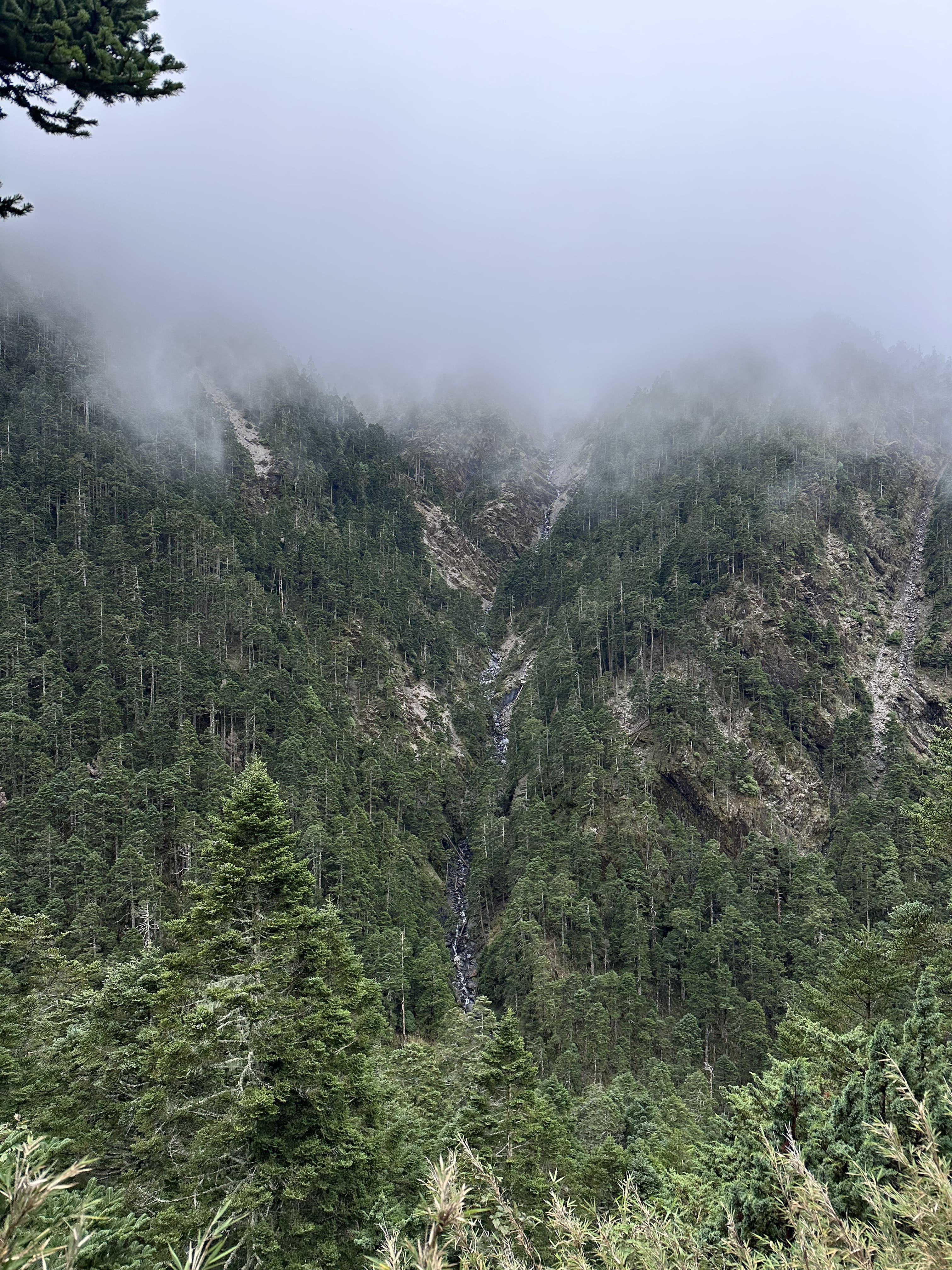 Mountain