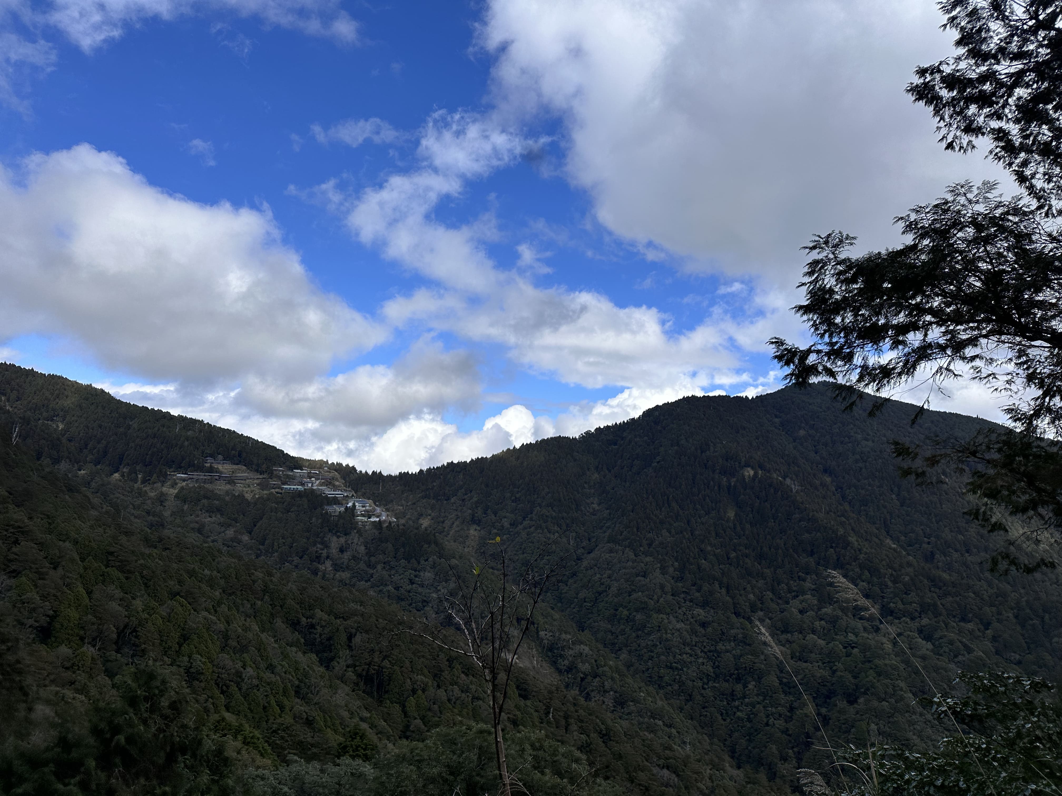 Mountain