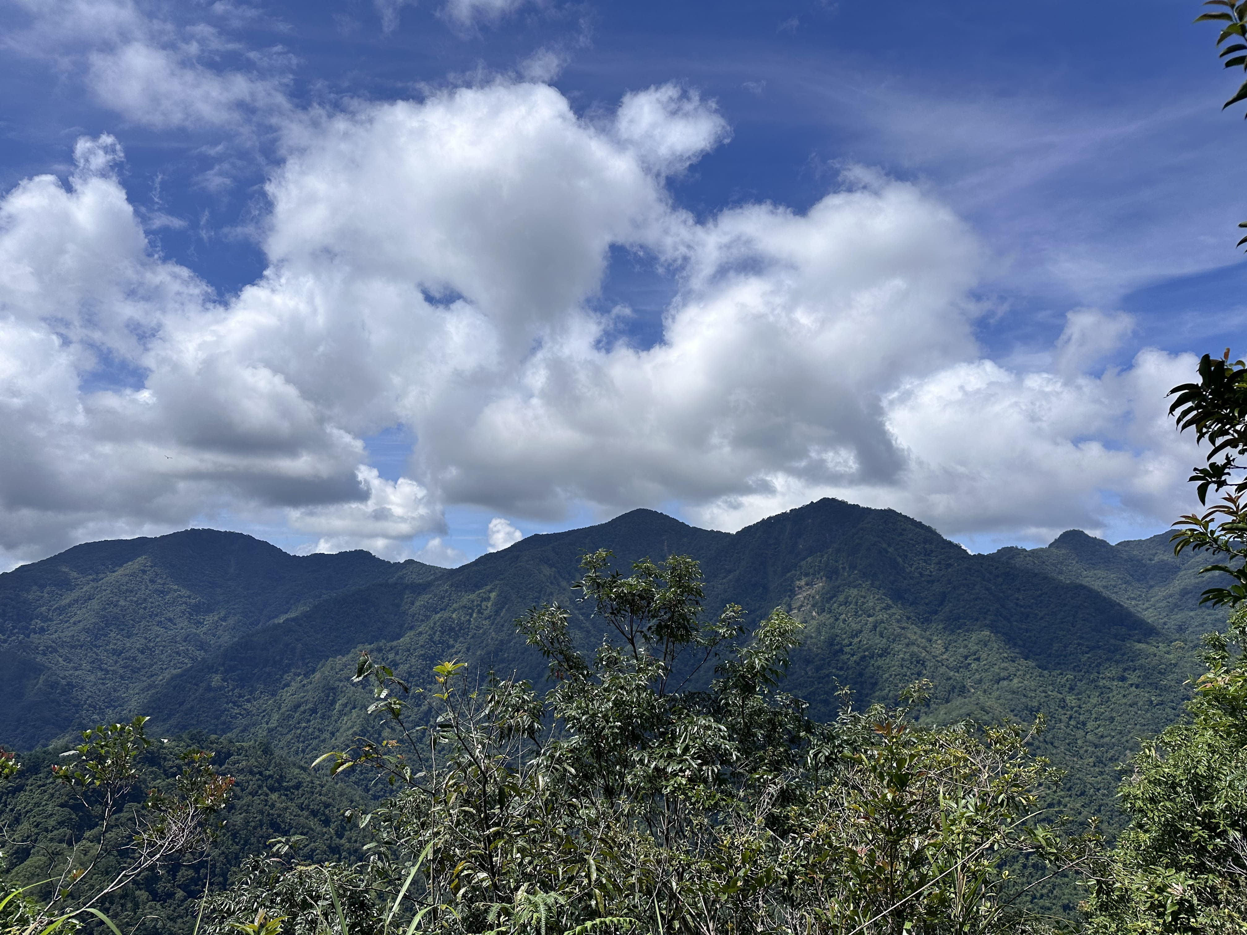 Mountain